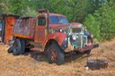 Dodge-Truck-1941---Pine-Grove