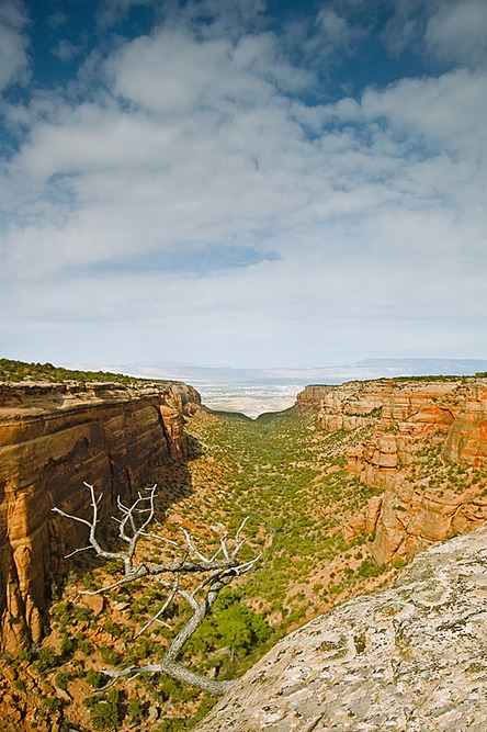 Red-Canyon-Overlook